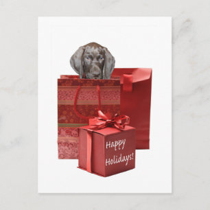 Cartes Pour Fêtes Annuelles Happy Holidays german shorthred pointer