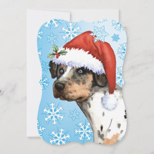 Cartes Pour Fêtes Annuelles Happy Howlidays Catahoula