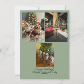 Cartes Pour Fêtes Annuelles Happy Howlidays Christmas Lights Card (Dos)
