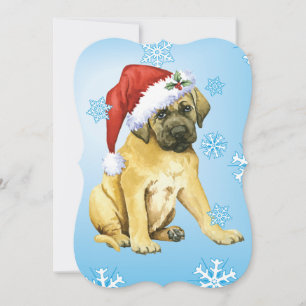 Cartes Pour Fêtes Annuelles Happy Howlidays Mastiff