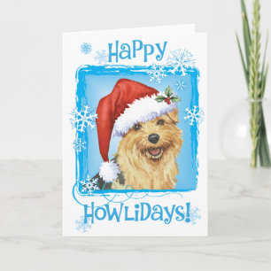 Cartes Pour Fêtes Annuelles Happy Howlidays Norfolk Terrier