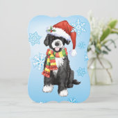 Cartes Pour Fêtes Annuelles Happy Howlidays PWD (Debout devant)