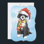 Cartes Pour Fêtes Annuelles Happy Howlidays PWD<br><div class="desc">Célébrez la saison des Fêtes avec un mignon chiot portugais Water Dog portant un chapeau de Père Noël et une écharpe au milieu des flocons de neige avec les mots,  Happy Howlidays on the back! Idéal pour une famille et des amis qui aiment le PWD.</div>