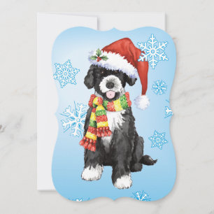 Cartes Pour Fêtes Annuelles Happy Howlidays PWD