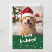 Cartes Pour Fêtes Annuelles Happy Howlidays Script Green Dog Photo (Devant)