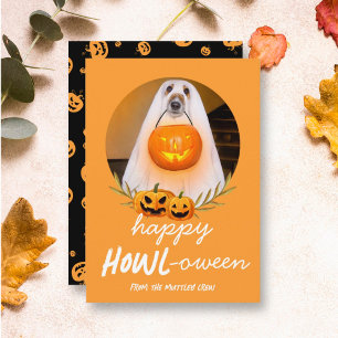 Cartes Pour Fêtes Annuelles Happy Howloween   Halloween Photo pour animaux de 
