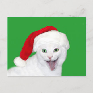 Cartes Pour Fêtes Annuelles Happy Père Noël Cat