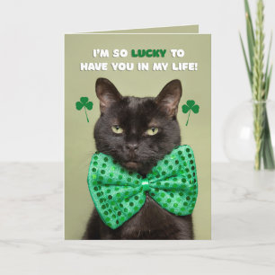 Cartes Pour Fêtes Annuelles Happy St. Patrick's Day Lucky Black Cat Humor