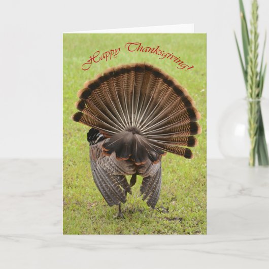 Cartes Pour Fêtes Annuelles Happy Thanksgiving (Devant)