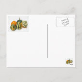 Cartes Pour Fêtes Annuelles Happy Thanksgiving (Dos)