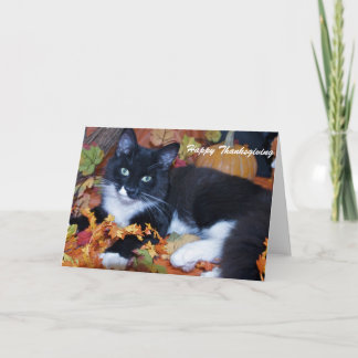 Cartes Pour Fêtes Annuelles Happy Thanksgiving