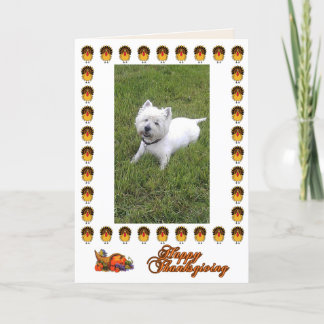 Cartes Pour Fêtes Annuelles Happy Thanksgiving Westie Card