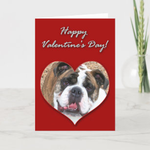 Cartes Pour Fêtes Annuelles Happy Valentine's day English bulldog card