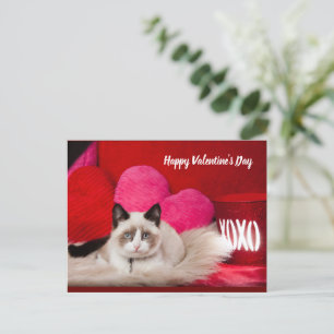 Cartes Pour Fêtes Annuelles Happy Valentine's Day postcard