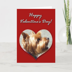 Cartes Pour Fêtes Annuelles Happy Valentine's Day Yorkshire Terrier Card