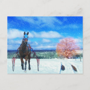 Cartes Pour Fêtes Annuelles Harness Racing Horse Holiday Card