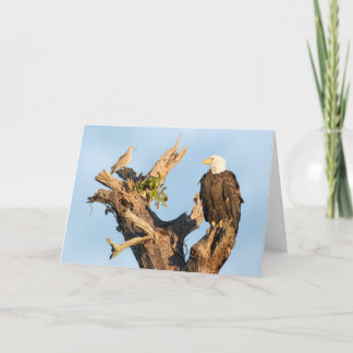 Cartes Pour Fêtes Annuelles Harriet et la colombe