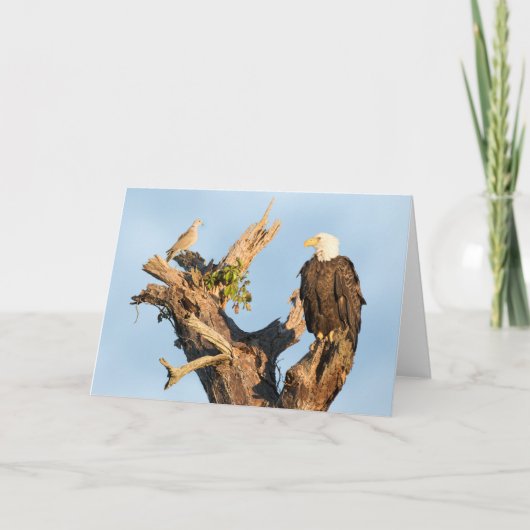 Cartes Pour Fêtes Annuelles Harriet et la colombe (Devant)