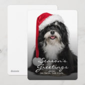 Cartes Pour Fêtes Annuelles Havanese Dog With Santa Hat (Devant / Derrière)