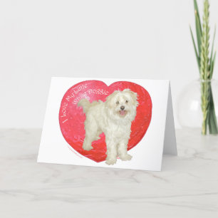 Cartes Pour Fêtes Annuelles Havanese / Westie Mix Saint-Valentin