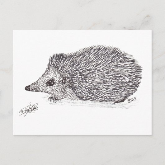CARTES POUR FÊTES ANNUELLES HEDGEHOG (Devant)