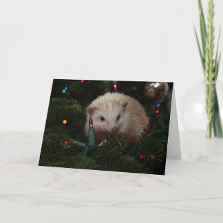 Cartes Pour Fêtes Annuelles Hedgehog Christmas Card