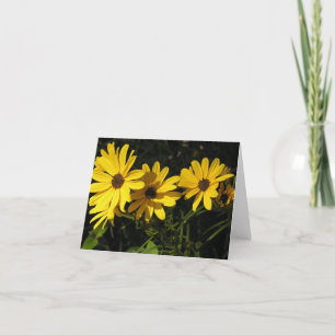 Cartes Pour Fêtes Annuelles Helianthus salicifolius (tournesol à feuilles de s