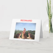 CARTES POUR FÊTES ANNUELLES HELLO CHIC-KEN (Dos)