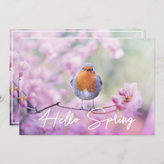 Cartes Pour Fêtes Annuelles "Hello Spring" Spring Flowering Tree & Robin Bird (Devant / Derrière)