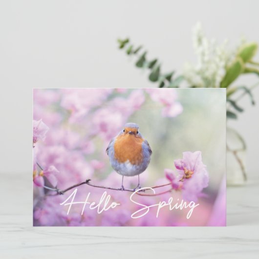 Cartes Pour Fêtes Annuelles "Hello Spring" Spring Flowering Tree & Robin Bird (Debout devant)