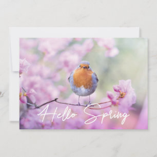 Cartes Pour Fêtes Annuelles "Hello Spring" Spring Flowering Tree & Robin Bird