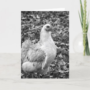 Cartes Pour Fêtes Annuelles Hen noir et blanc, Pâques