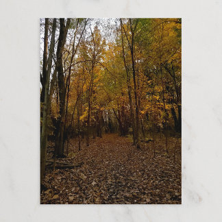 Cartes Pour Fêtes Annuelles Heritage Park Fall Trail Postcard