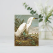 Cartes Pour Fêtes Annuelles Héron blanc par John James Audubon (Debout devant)