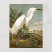 Cartes Pour Fêtes Annuelles Héron blanc par John James Audubon (Devant)