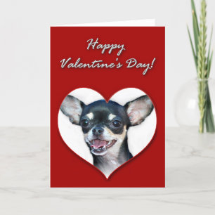 Cartes Pour Fêtes Annuelles Heureuse Sainte-Valentin Chihuahua