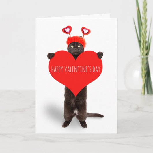 Cartes Pour Fêtes Annuelles Heureuse Sainte-Valentin Cute Chat tenant Humour d (Devant)