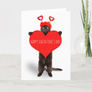 Cartes Pour Fêtes Annuelles Heureuse Sainte-Valentin Cute Chat tenant Humour d