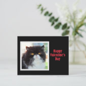 Cartes Pour Fêtes Annuelles Heureuse Sainte-Valentin de chat persan (Debout devant)