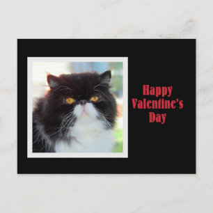 Cartes Pour Fêtes Annuelles Heureuse Sainte-Valentin de chat persan