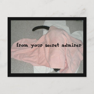 Cartes Pour Fêtes Annuelles Heureuse Sainte-Valentin de l'animal de compagnie