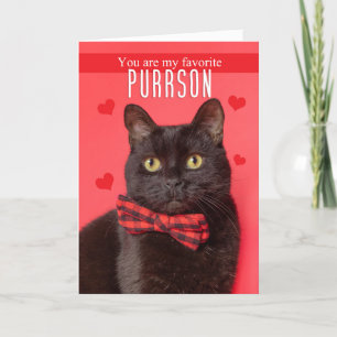 Cartes Pour Fêtes Annuelles Heureuse Sainte-Valentin Favori PURRson Cute Cat