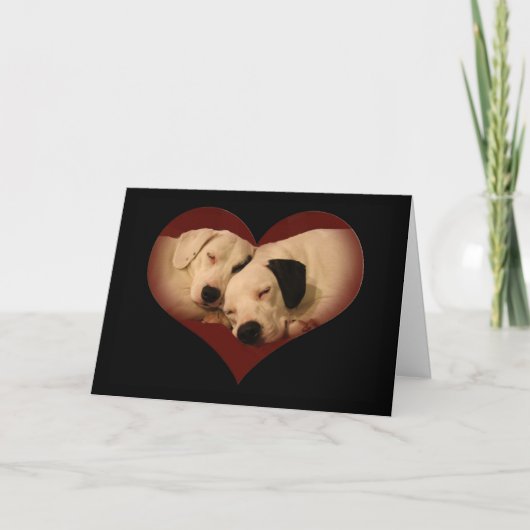 Cartes Pour Fêtes Annuelles Heureuse Sainte-Valentin, miel ! (Devant)