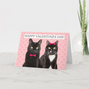 Cartes Pour Fêtes Annuelles Heureuse Sainte-Valentin Pour Deux Chats Humour 