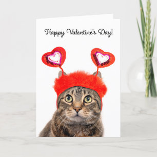 Cartes Pour Fêtes Annuelles Heureuse Sainte-Valentin Pour N'Importe Qui Tabby 