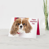 Cartes Pour Fêtes Annuelles Heureuse Sainte-Valentin Snowy Cavalier King Charl (Devant)