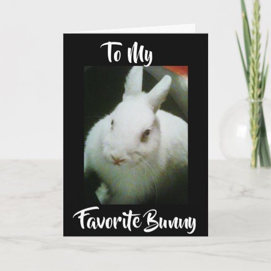 CARTES POUR FÊTES ANNUELLES HEUREUX **EASTER** À MON "BUNNY" (Devant)