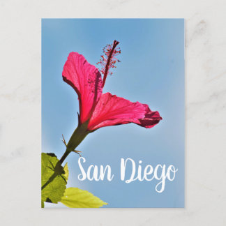 Cartes Pour Fêtes Annuelles Hibiscus de San Diego