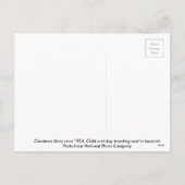 Cartes Pour Fêtes Annuelles Histoire de Noël vers 1924 (Dos)