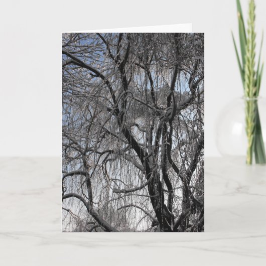 Cartes Pour Fêtes Annuelles Hiver ~ 24 (Devant)